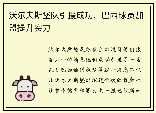沃尔夫斯堡队引援成功，巴西球员加盟提升实力